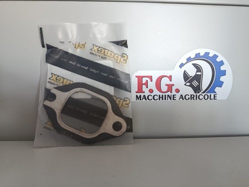 S62446 guarnizione collettore - s62446,