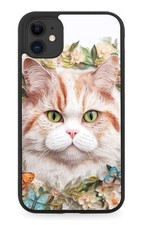 White Exotic Shorthair Cat