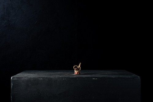 Vintage japanese tosa dog - japanese,