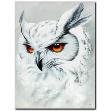 NOVAARTE quadro acrilico gufo