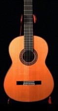 Chitarra acustica classica