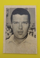 Figurina Cartonata Cardmaster