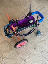 carrellino 4 ruote ortopedico per cane