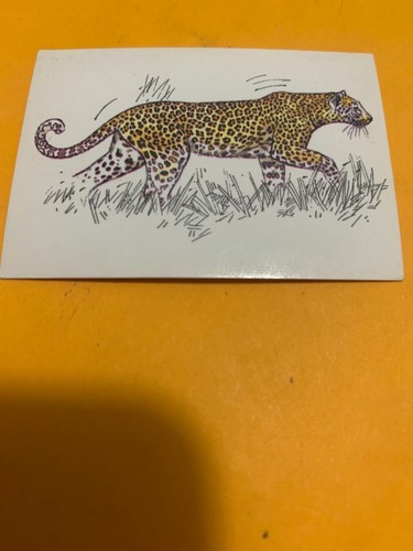 Figurina a37 mammiferi - figurina,