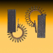 1 Set Spazzole di Carbone