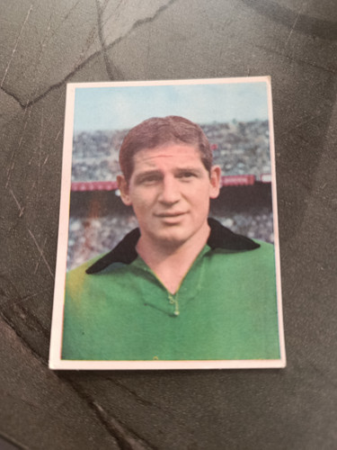 1966 imperia calciatori - imperia,