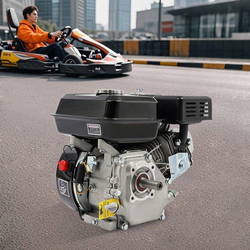 Motore gas hp 4 tempi - 4,
