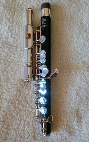 Yamaha modello piccolo - modello,