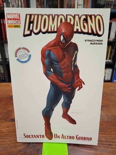 Uomo ragno spider - ragno, 487