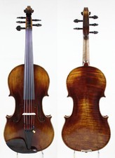 Violino violino 5 corde! Copia