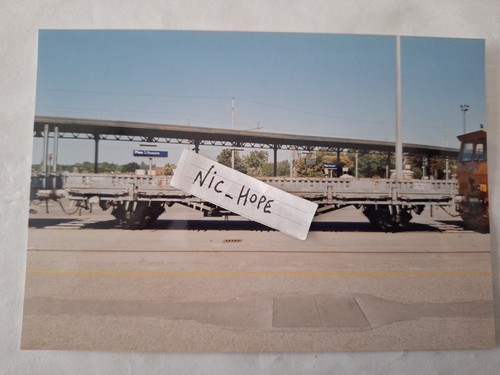 Fotografia stazione pisa - stazione,