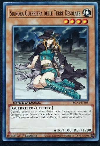 Signora guerriera delle - delle, terre