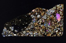 Meteorite NWA 16975 Condrite