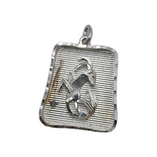 Ciondolo Capricorno Argento