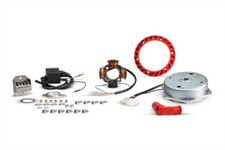 ACCENSIONE A STRAPPO MALOSSI