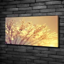 Tulup Canvas Print Wall Art