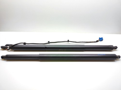 Coppia pistoncini elettrici - coppia,