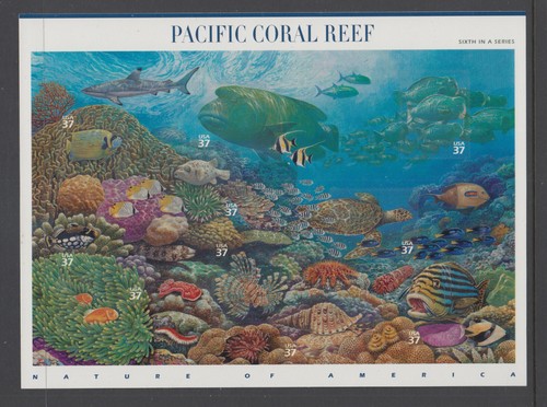 3831 pacific coral reef 37 - us,