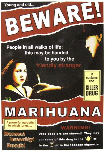 Cannabis marijuana - cannabis,