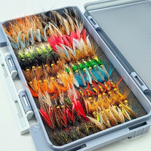 Kit esche pesca per for - kit, a