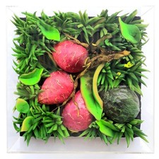 PIERO GILARDI michelangelo pistoletto luigi ontani mario schifano salvo mangione