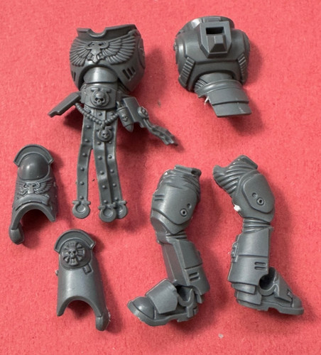 Ultramarine nuovo victrix - nuovo,