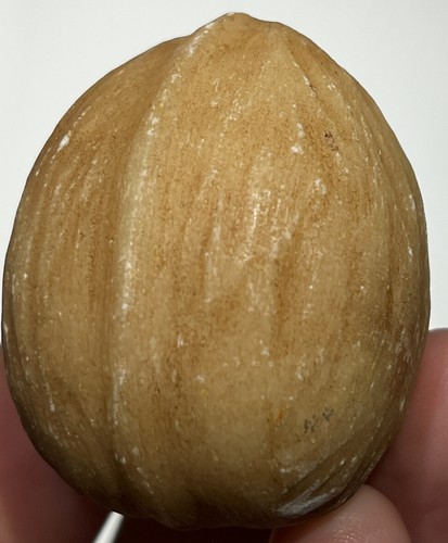 Pietra epoca marmo noce - d'epoca,