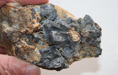 Pezzo vetrina galenite xx - pezzo,