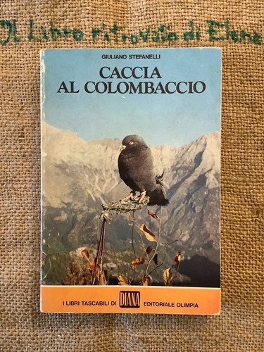 Giuliano stefanelli caccia - giuliano, al