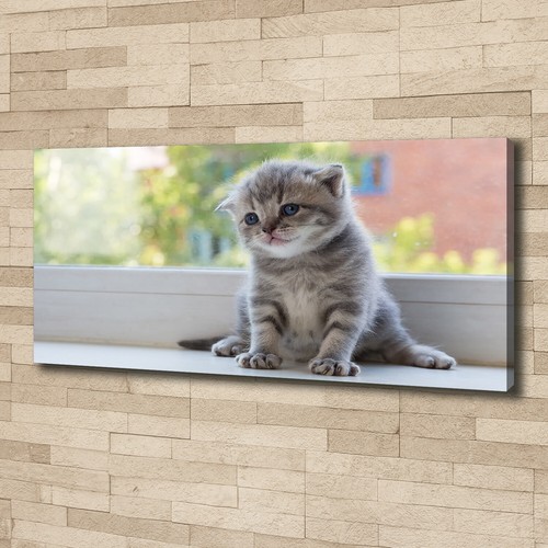 Stampa tela tulup wall art - wall,