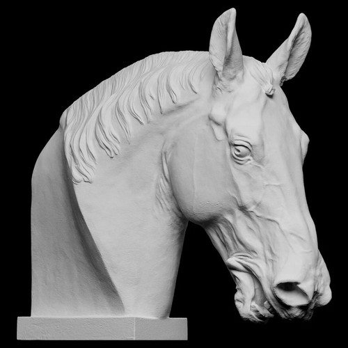 Statua scultura testa - scultura, di