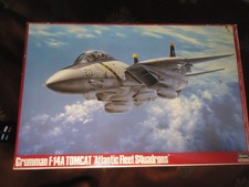 Hasegawa 1/48 Grumman F-14A