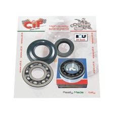 REVISIONE ALBERO MOTORE