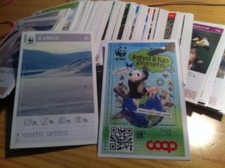 evado mancoliste card SALVA IL