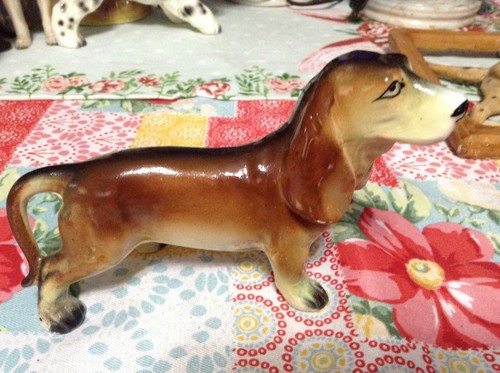 Basset hound dachsund - basset, or