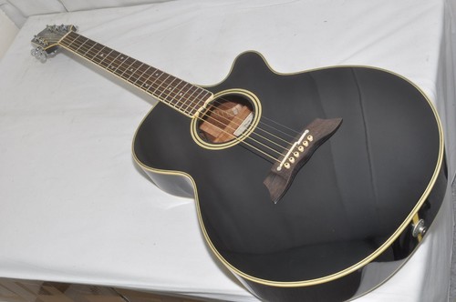Takamine 1989 npt 108 - takamine,