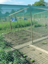 Rete antigrandine antiuccelli olive robusta resistente cimose rinforzate 65 gr