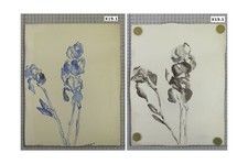 DUE DIPINTI FLOREALE AD ACQUERELLO VINTAGE ANNI '60 COPPIA QUADRO FIORI X19.1