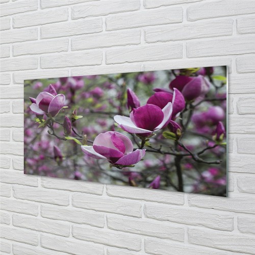 Tulup vetro acrilico 140x70