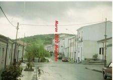 1991 PUTIFIGARI CARRELA MANNA IX MOSTRA MICOLOGICA  BOLETI  FUNGHI PILZ CHAMPIGN