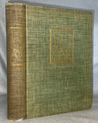 Antique ornithology book - antique,