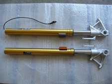 BMW R 1250 R coppia forcelle anteriori