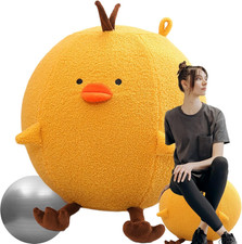 Fitball, Palla per Lo Pilates