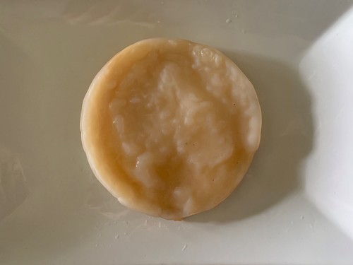 Kombucha scoby italiano - scoby,