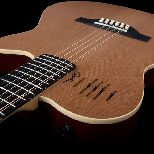 Chitarra corde godin - 12, a12
