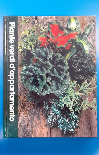 Piante verdi appartamento - piante,