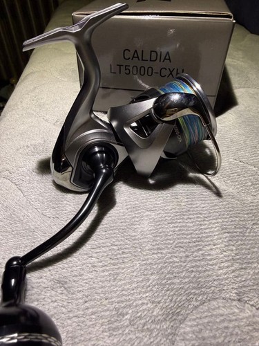 Mulinello spinning daiwa - spinning,