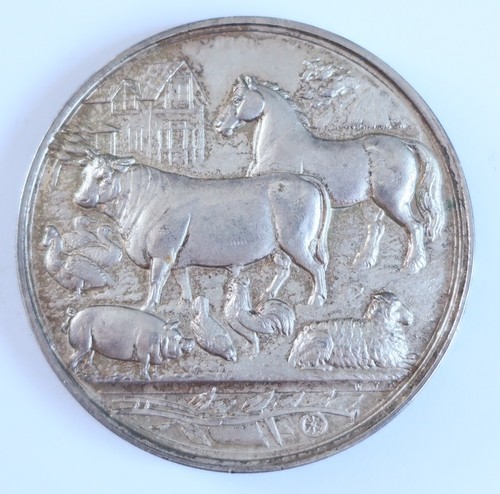 Medaglia agricoltura coppa - coppa, re