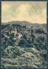 Bologna Castel d'Aiano Sassomolare FG cartolina JK1426