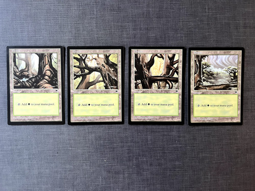 Forest c d tempest - forest,